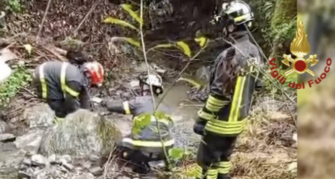Daini impigliati nelle reti delle olive a Pezzonasca, in salvo grazie ai vigili del fuoco