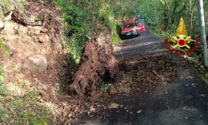 Frana una porzione di terreno a Rapallo: traffico interdetto