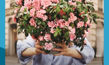 Domenica 11 maggio torna l'Azalea della ricerca