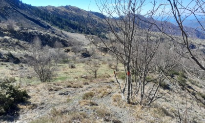 Ricco fine settimana nelle Valli del Parco dell'Aveto