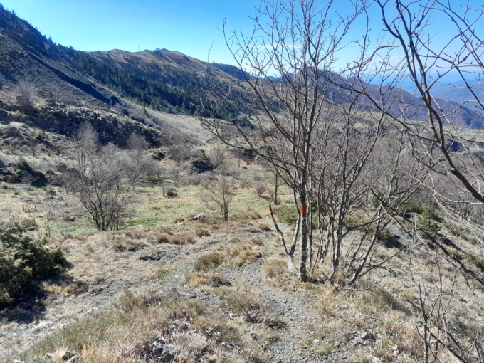 Ricco fine settimana nelle Valli del Parco dell’Aveto