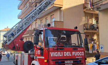 Vigili del fuoco liberano piccione incastrato in una rete
