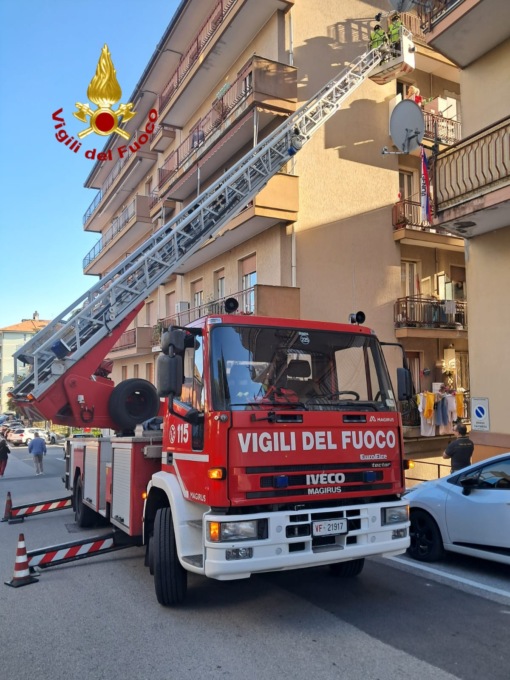 Vigili del fuoco liberano piccione incastrato in una rete