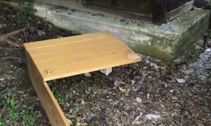 Vandalismo al Parco delle Fontanine: distrutto e bruciato un mobiletto dei libri