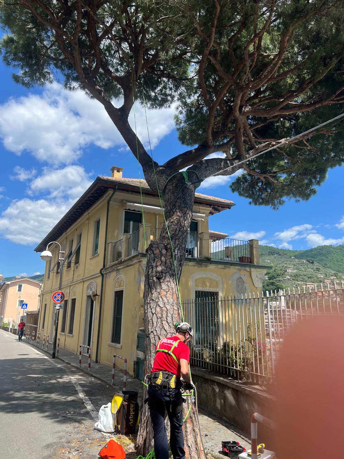 Immagine WhatsApp 2025-05-18 ore 16.53.44_dcecba0b