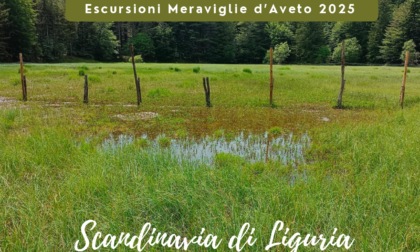 Tutti gli eventi di giugno a Santo Stefano d'Aveto