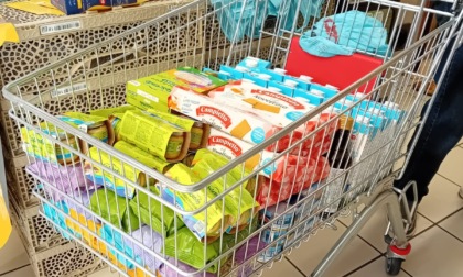 Dona la spesa, nel Tigullio raccolte oltre 4 tonnellate di prodotti