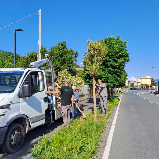 Sestri punta sul verde, al via il piano 2025 per riqualificare parco e aree urbane