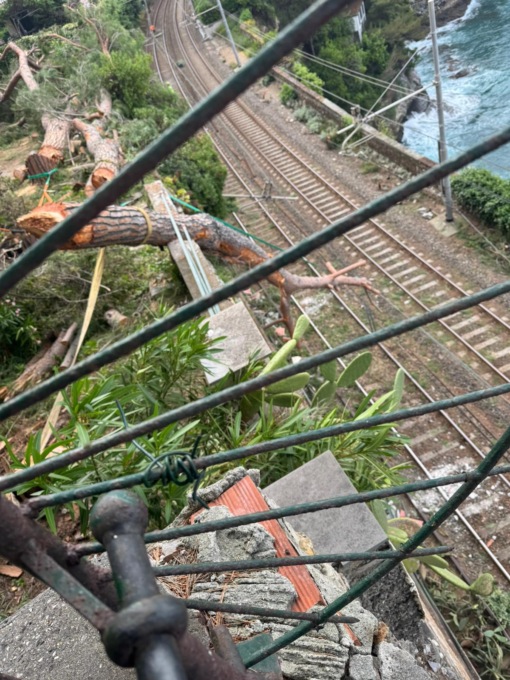 Ferrovie dello Stato: «Linea Genova – Pisa, circolazione in graduale ripresa tra Nervi e Recco»