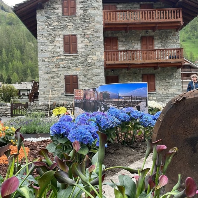 Un’aiuola a Gressoney con i fiori di Euroflora del Comune di Camogli
