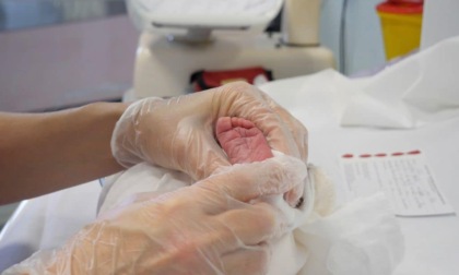 Celiachia, parte lo screening neonatale  in tutta la Liguria grazie al Gaslini Diffuso