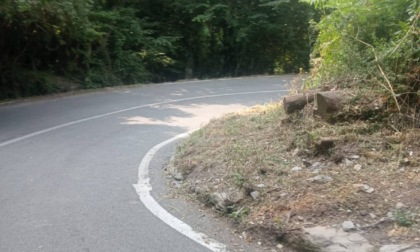 Strada per Montallegro, il Comune di Rapallo risponde alle critiche di Angiolani
