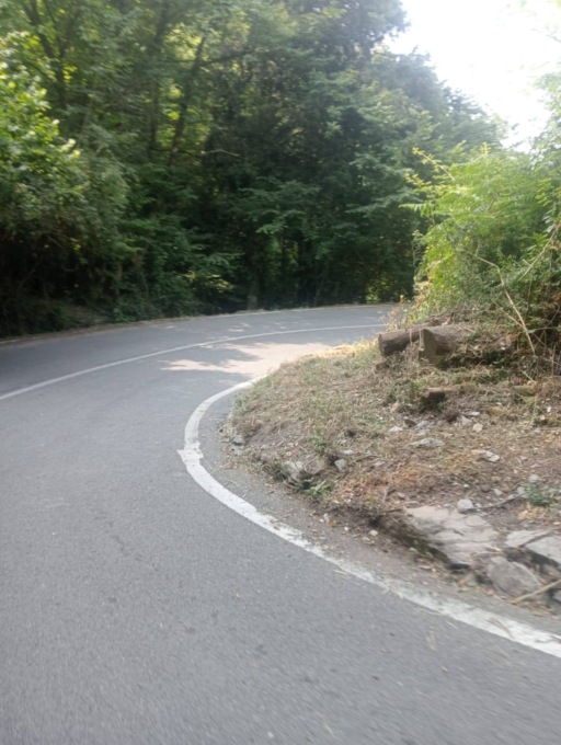 Strada per Montallegro, il Comune di Rapallo risponde alle critiche di Angiolani