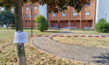 Sestri Levante: in corso gli interventi di derattizzazione e disinfestazione