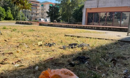 Teatro della Lavagnina, il M5S attacca: "Le periferie dimenticate dal sindaco Solinas"