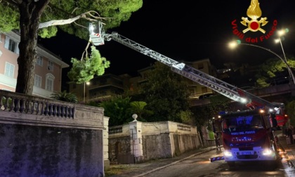 Maltempo, gli interventi dei Vigili del fuoco