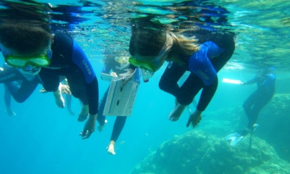 Impariamo il mare: laboratorio cancellato a causa maltempo