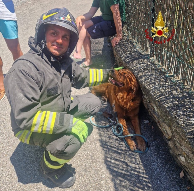 Incendio in una villetta, i vigili del fuoco salvano un cane