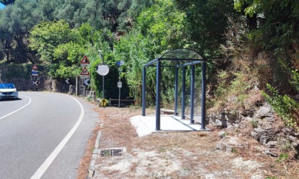 Nuova pensilina di attesa autobus a Zoagli