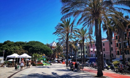 Sestri Levante, abbattimento immediato di una palma sul lungomare