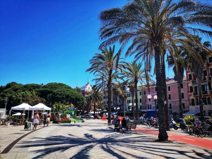 Sestri Levante, abbattimento immediato di una palma sul lungomare