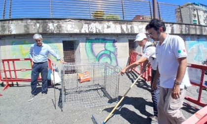 Sopralluogo del Gruppo Ligure Tartarughe al nido di Sestri Levante