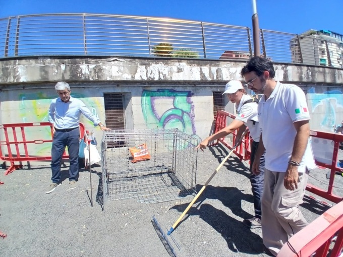 Sopralluogo del Gruppo Ligure Tartarughe al nido di Sestri Levante