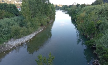 Passeggiata serale alla scoperta dei suoni della natura
