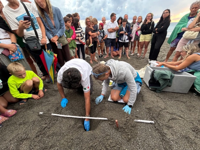 Chiuso il nido di Caretta caretta a Sestri, nate 88 tartarughe sulla spiaggia di Sant’Anna