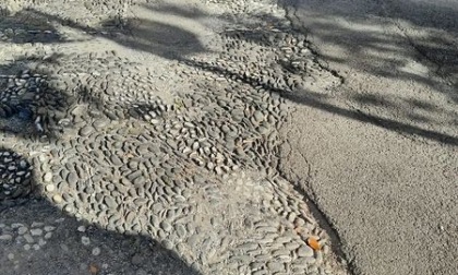 Rapallo, il Pd chiede il recupero del risseu davanti agli uffici comunali