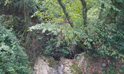 Recco, in corso l'intervento di pulizia sul torrente e sui rivi minori
