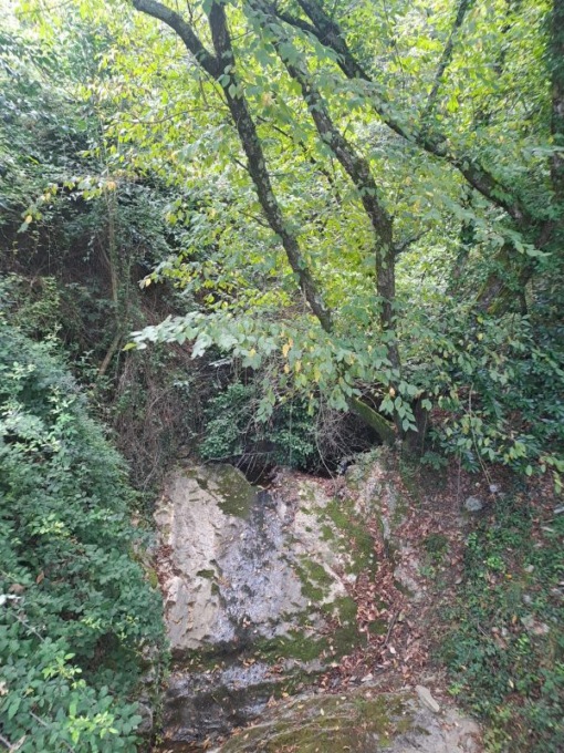 Recco, in corso l’intervento di pulizia sul torrente e sui rivi minori