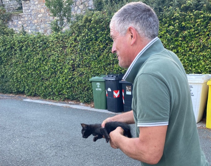 Chiavari, gattino bloccato nel motore di un auto: liberato dagli abitanti del quartiere