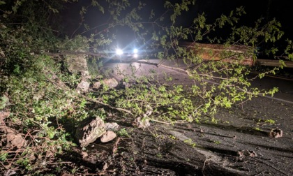 Riaperta, a senso alternato, la strada provinciale 586 della Val d'Aveto