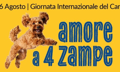 Il vostro cane protagonista sul Nuovo Levante: inviateci le foto!