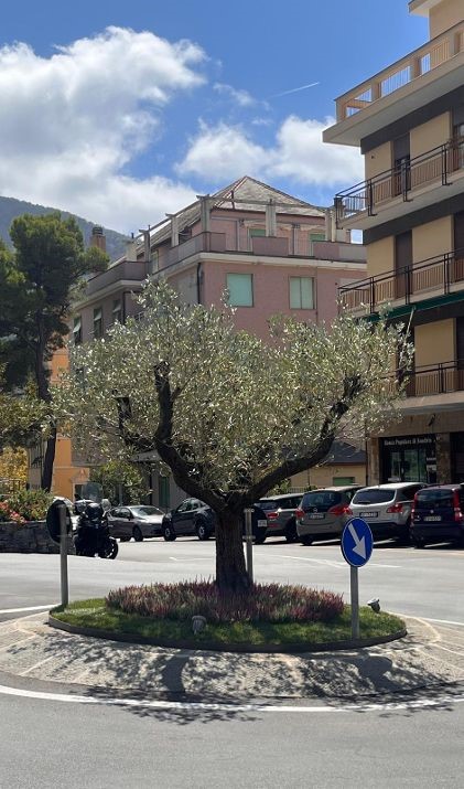 rotonda camogli 1