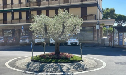immagine notizia
