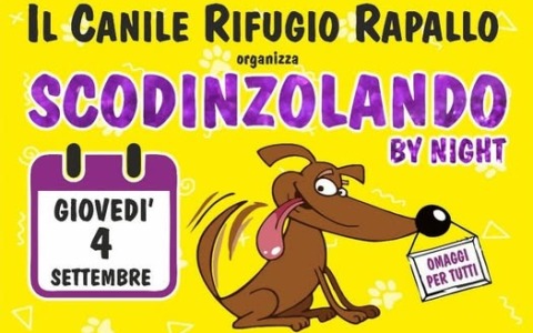“Scodinzolando by night”: l’evento organizzato dal canile di Rapallo