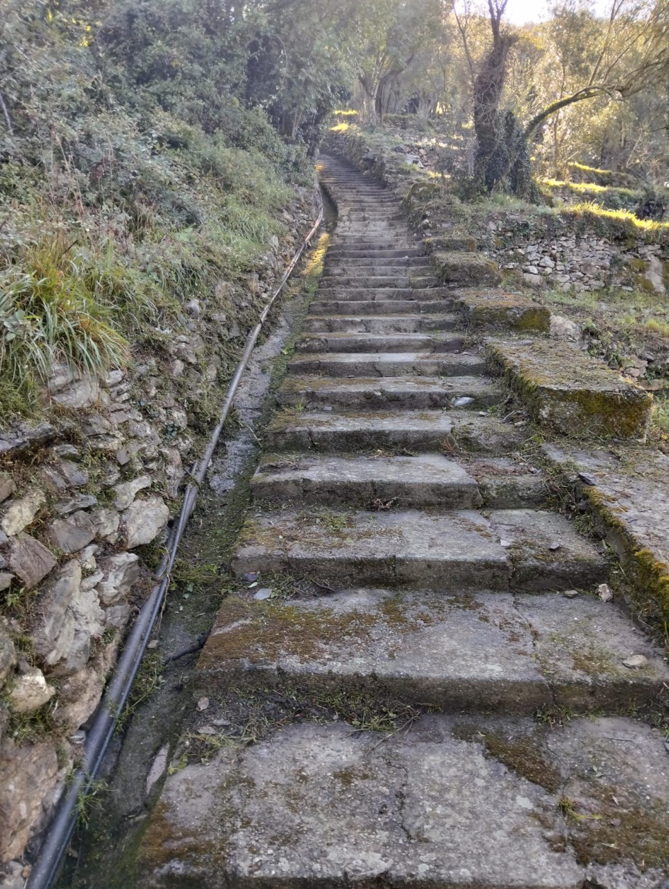 Proseguono a Recco gli sfalci e le manutenzioni delle pedonali