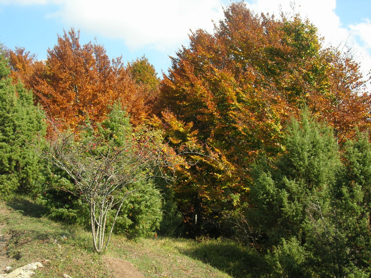Gli eventi del fine settimana nel parco dell’Aveto