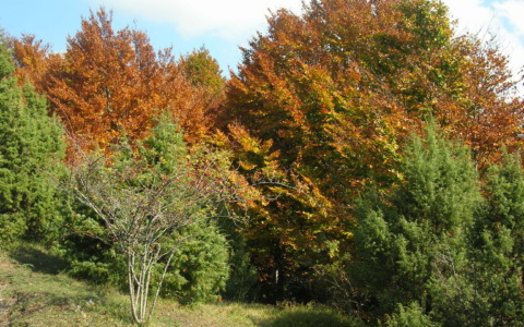 Gli eventi del fine settimana nel parco dell’Aveto