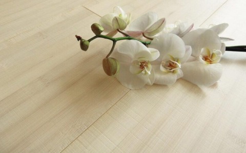 Scegliere il parquet: Armony Floor accompagna privati e progettisti verso la soluzione più adatta