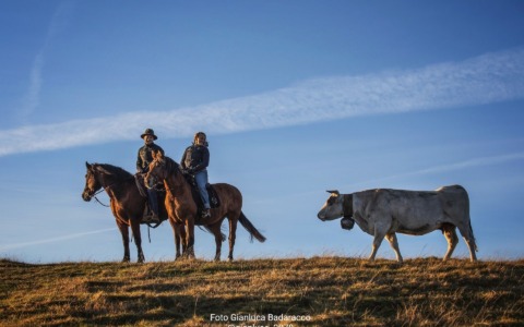 Santo Stefano d’Aveto: torna la transumanza