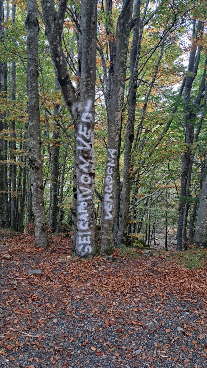 Giacopiane, scritte sugli alberi e cartelli danneggiati