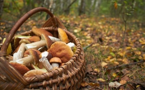Tutti gli eventi del weekend nel Parco dell’Aveto