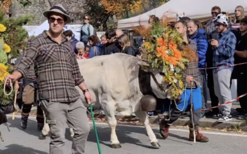 Transumanza, grande giornata di festa a Santo Stefano d’Aveto