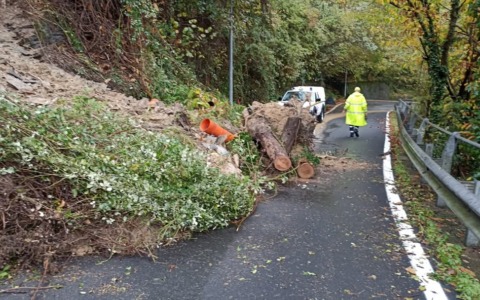 Cogorno: chiusa la provinciale 34 per la caduta di un albero