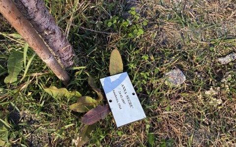 Chiavari, Parco della Memoria in abbandono: targhe dei deportati a terra