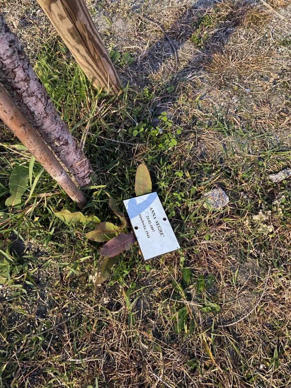 Chiavari, Parco della Memoria in abbandono: targhe dei deportati a terra