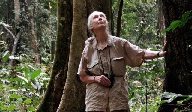 A Chiavari una conferenza dedicata a Jane Goodall e alla forza dello spirito femminile